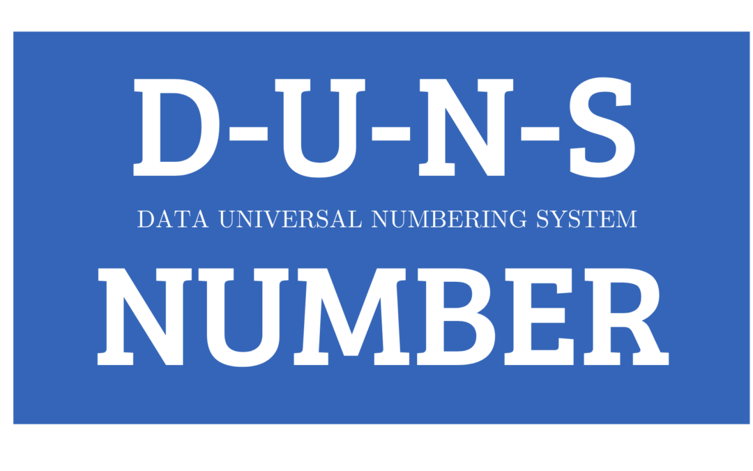 Cyber security DUNS Number