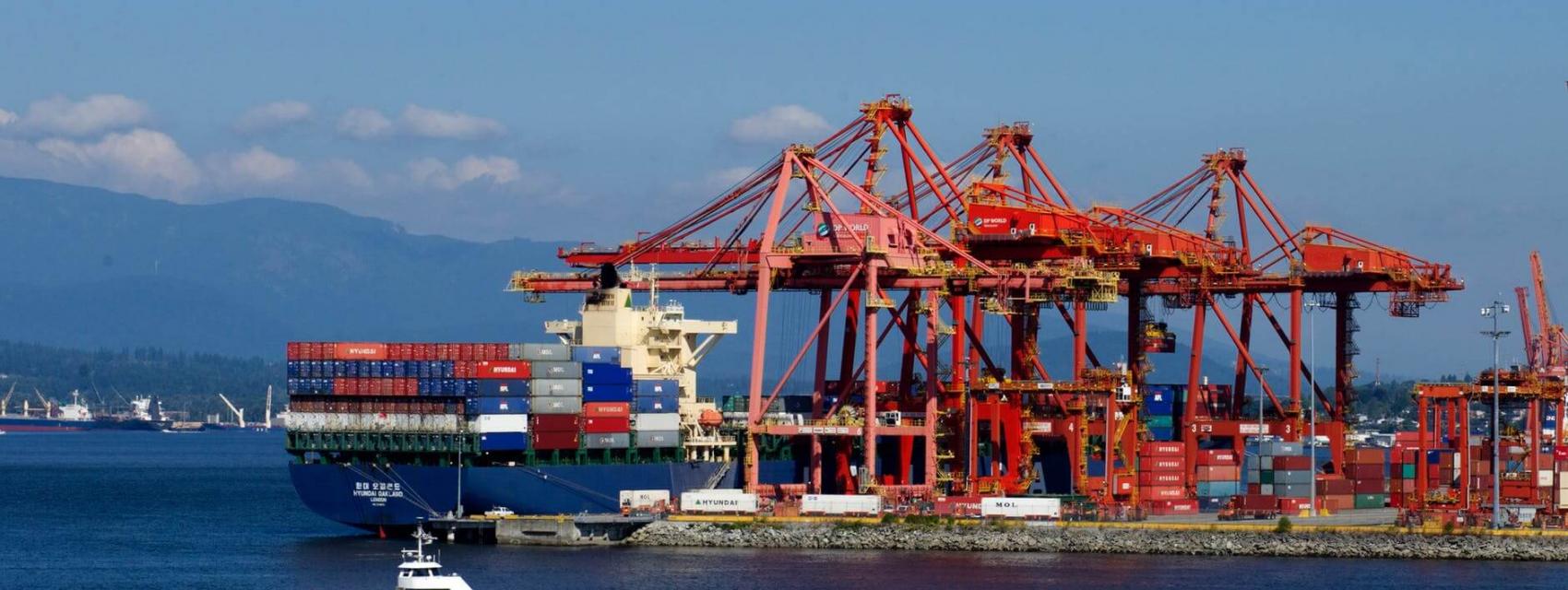 Business Setup in Dubai by Bizvise